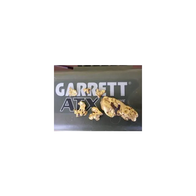 Garrett Atx Dedektör